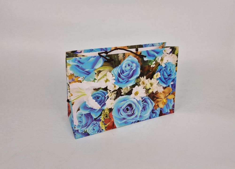 Бумажный большой горизонтальный пакет  36/22/10(артBG-022) (12 шт) Харьков - изображение 1