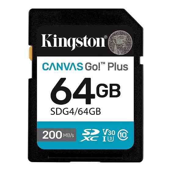 Карта пам'яті Kingston Canvas Go! Plus 64ГБ Київ