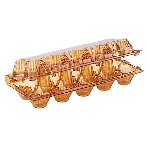 Упаковка для курячих яєць 10 осередків коричнева полегшена ПЕТ (50 шт) - тара для зберігання та транспортування Харків - фото 3