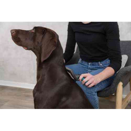 Щетка-пуходерка Trixie для собак мягкая с пластиковой ручкой 10х17 см Киев