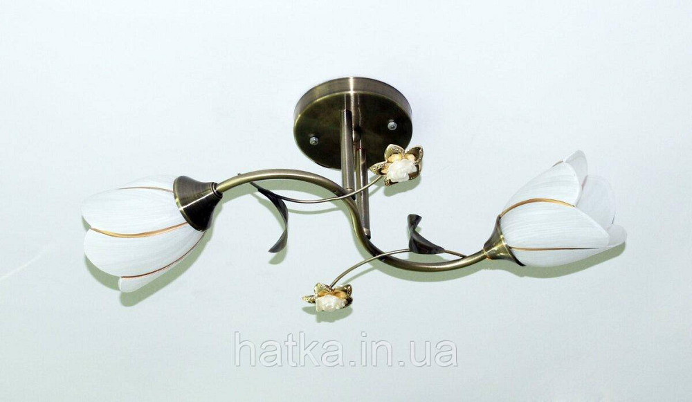 Люстра стельова Sirius B N1508/2 на 2 плафона Київ - фото 1