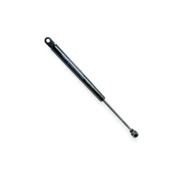 Амортизатор багажника Citroen C3 02-255N, 310MM скла Мукачево