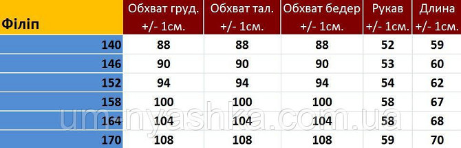 Підліткова хлопчача вишиванка "Філіп" синьо-жовта з коротким рукавом 122-164 Кривий Ріг - фото 3