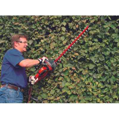 Кущоріз Einhell GC-EH 6055/1 600Вт, 61см (3403320) Вінниця