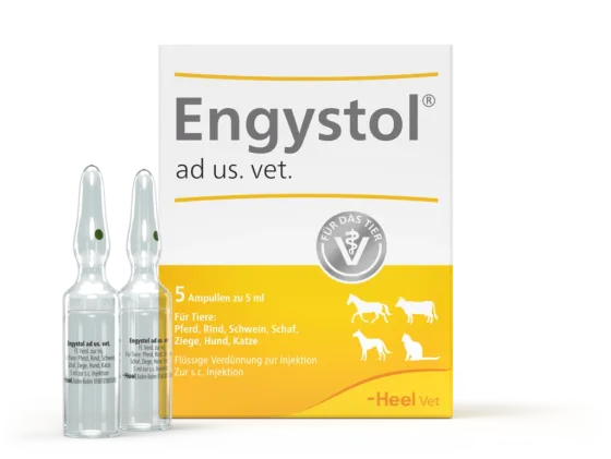 Енгістол Хеель блистер №5 ампул по 5мл (ветеринарний) Вінниця