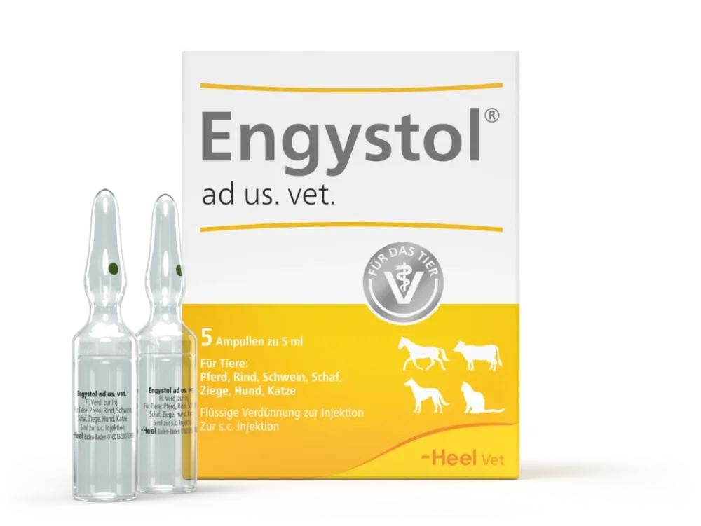Енгістол Хеель блистер №5 ампул по 5мл (ветеринарний) Вінниця - фото 1