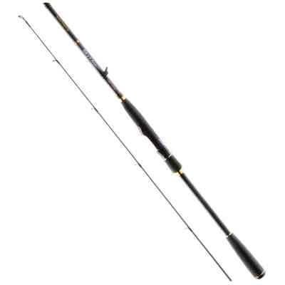 Вудилище Favorite Skyline NEW SKYA-842H 2.54m 20-60g Ex.Fast (1693.04.49) Вінниця