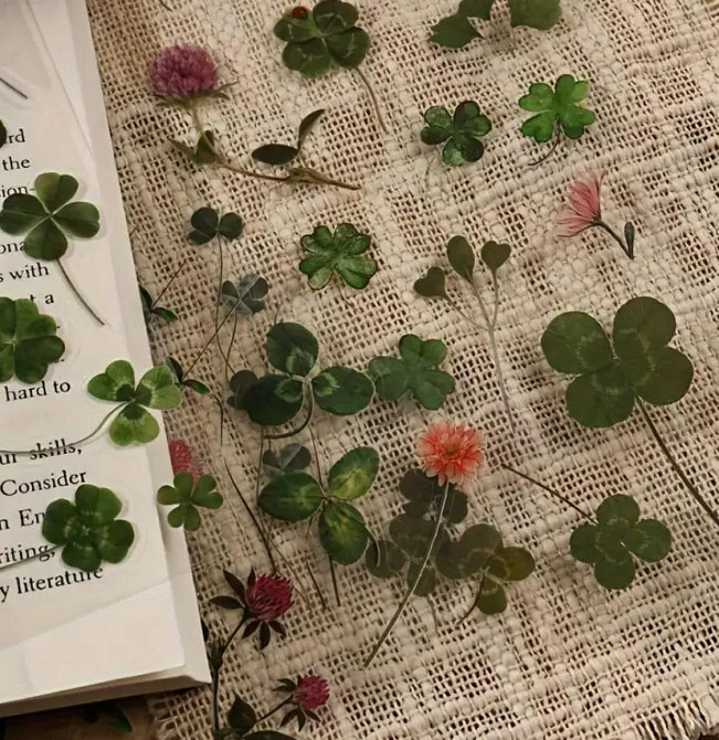 Глянцеві наклейки з конюшиною, 6 листів, самоклеючі ПВХ-стікери з блискучим покриттям для скрапбукін Київ - фото 3