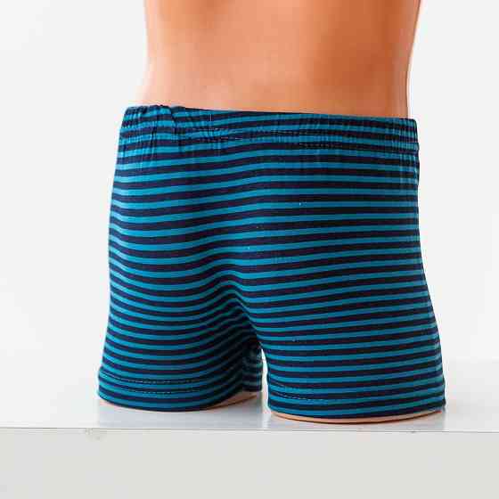 Боксеры подростковые для мальчика - полосатые. Набор из 5 шт. Nicoletta 41395 12-13 Киев