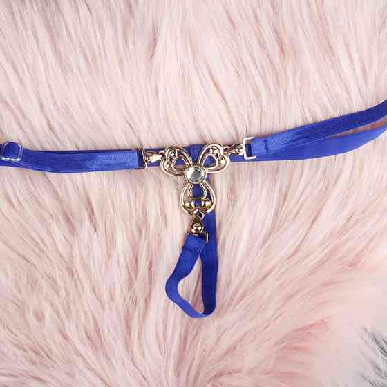 Еротичні стрінги з камінцями універсальний синій Київ