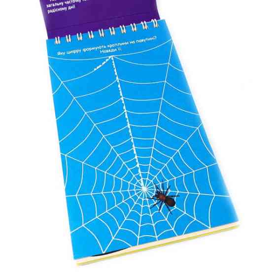 Навчальна книга Цифри 4+ Грайки 123003 Вінниця