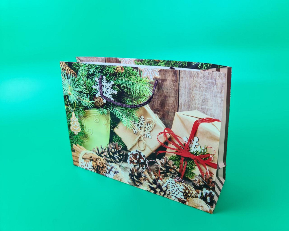 Паперові пакети великий горизонтальний 36/22/10 nBG-08 (12 шт) Харків - фото 1