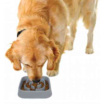Посуд для собак Dexas Миска Slow Maze Feeder квадратна для повільного годування 960 мл світло-сіра (0084297309923) Вінниця