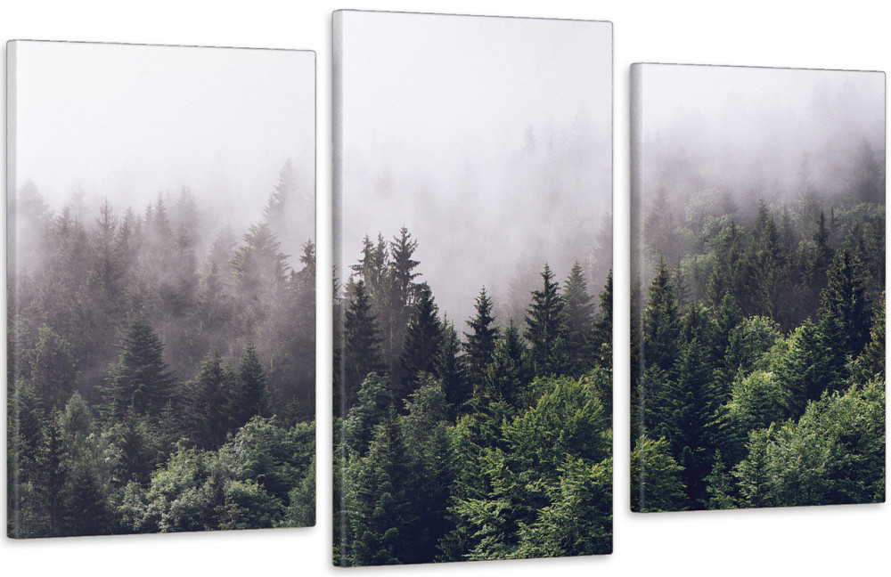 Модульна картина у вітальню/ спальню Ліс в тумані Art-514_3 Київ - фото 1