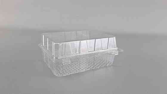 Контейнер пластиковий з відкидною кришкою AS-97/125/48 V=250 (50 шт) Харків