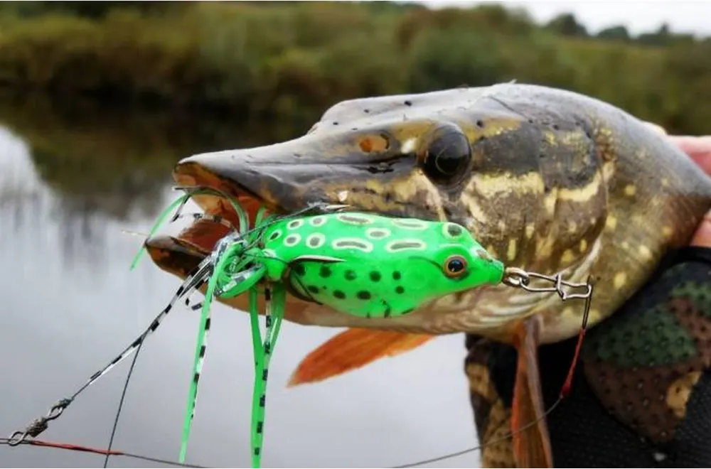 Воблер Лягушка жабка Не цепляется за траву на щуку Киев - изображение 8