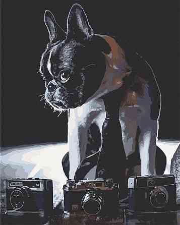 Картина по номерам. Art Craft 