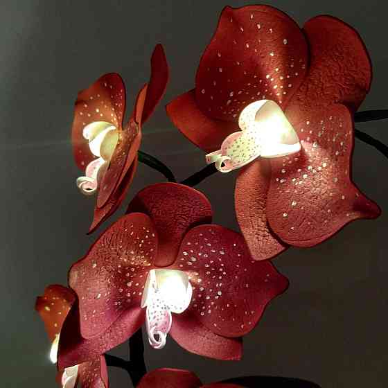 Світильник-нічник "Орхідея Бордова" Дніпро