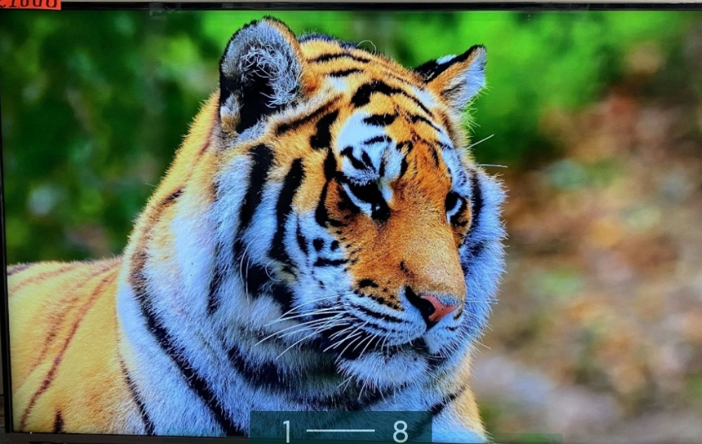 Телевизор: 65