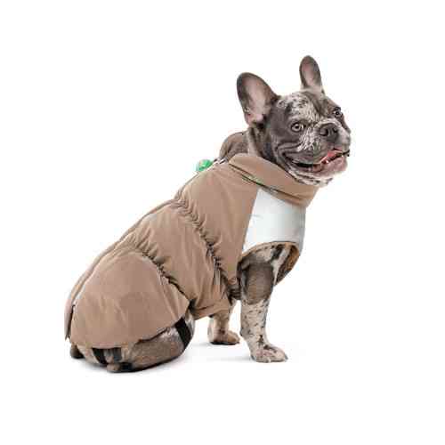 Жилет Chip для собак такса XS Киев