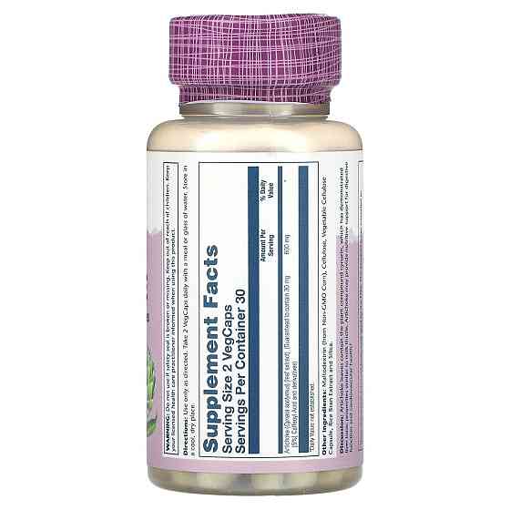 Артишок Solaray Artichoke Leaf Extract 60 капс Київ