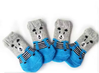 Шкарпетки для собак розмір М Київ - фото 1