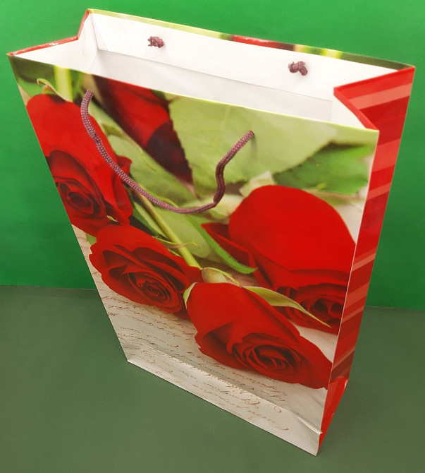 Пакет бумажный гигант вертиркальный (30х42х12)(артGV-062) (12 шт) Харьков - изображение 1