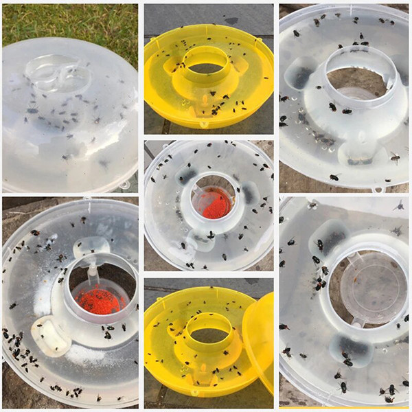 Приманка мух Fly Bait Дніпро - фото 4