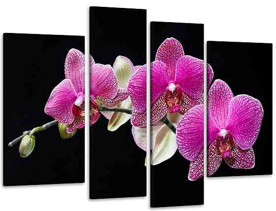 Модульна картина Орхідея Art-92_4 Київ