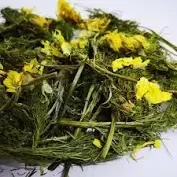 Адонис весений  (Горицвіт весняний), 100г master sem Киев - изображение 1