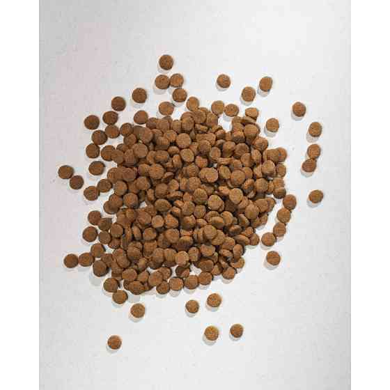 Сухой корм Half&Half для взрослых кошек, с говядиной, 8 кг Винница