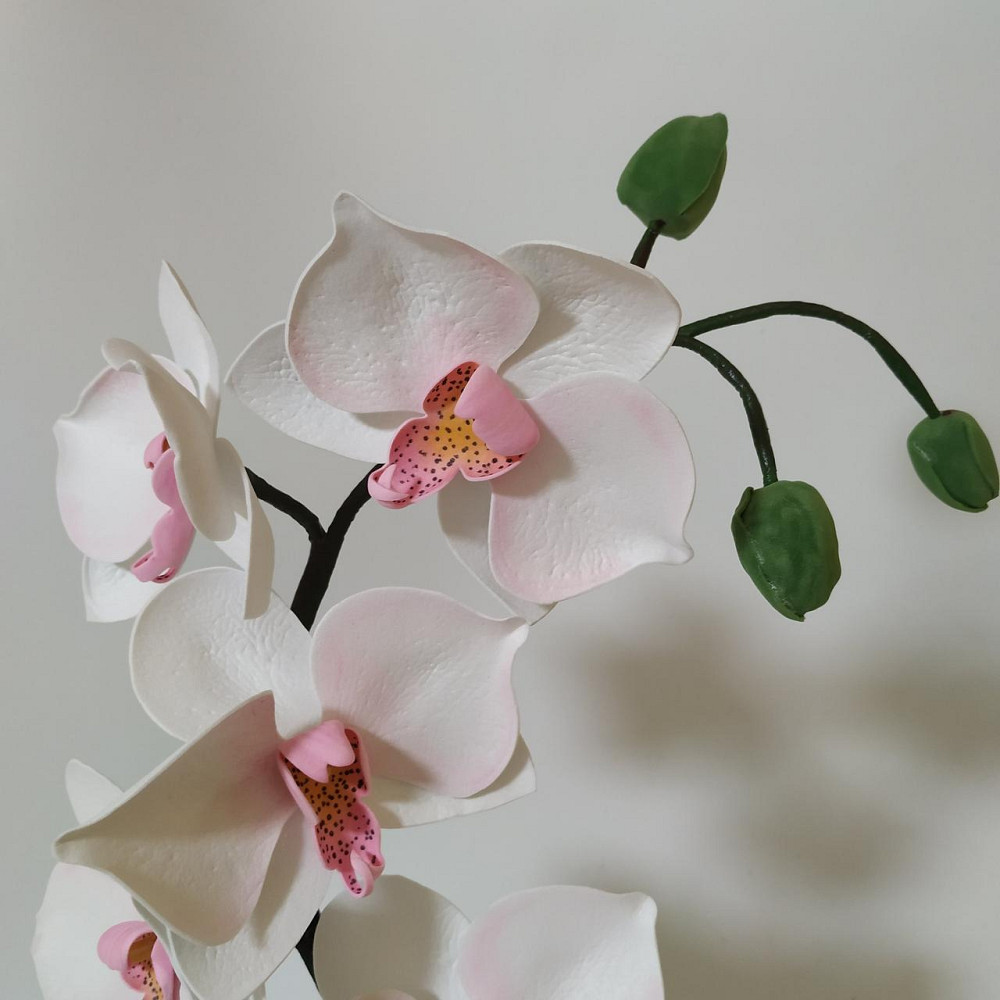 Світильник-нічник "Орхідея Ніжність" Дніпро - фото 2