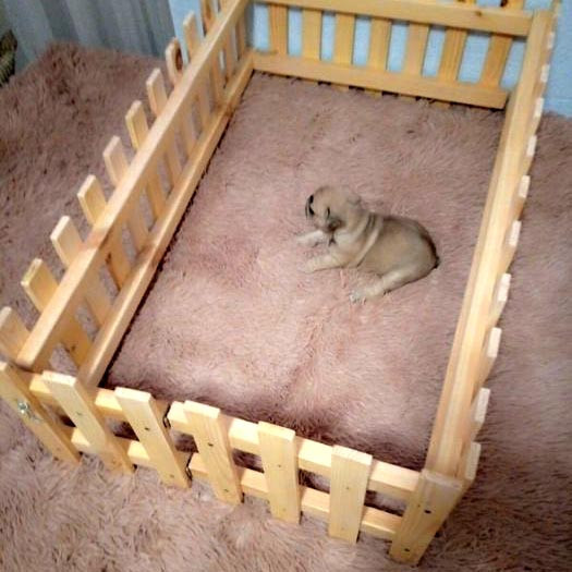 Вольєр для цуценят "Сидібель" бланже Миколаїв - фото 2