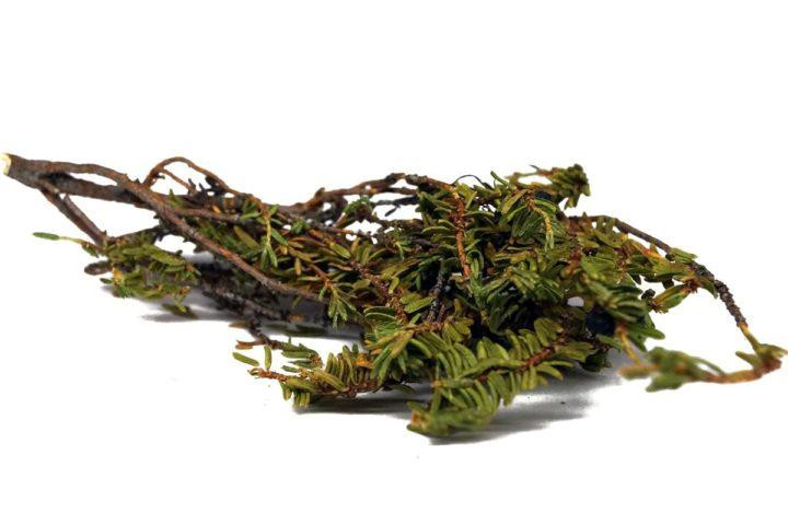 Шикша алтайська, 100г Київ - фото 1