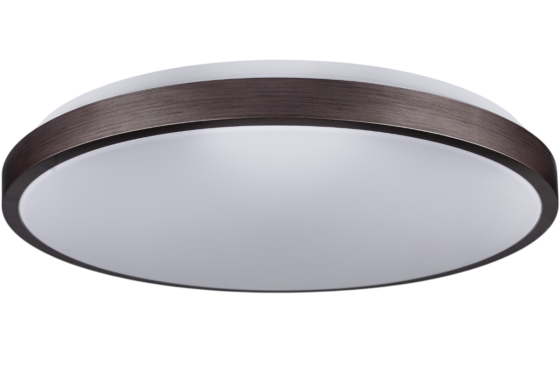 RING матовий 80W 480*60мм 3000К-6500К з ДК бронзовий Дніпро