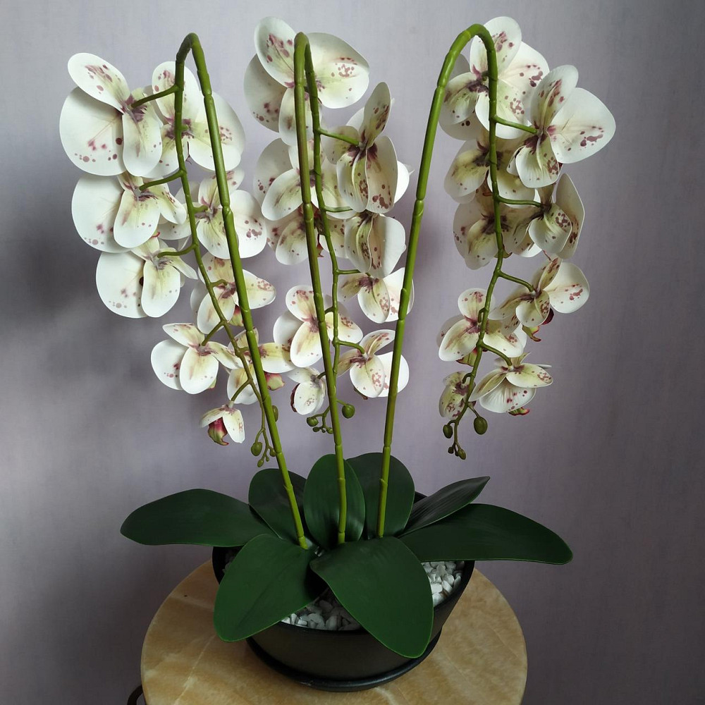 Штучна латексна орхідея VIP у керамічному кашпо графіт на три гілки білих з бордовою точкою Дніпро - фото 4