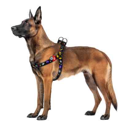 Шлей для собак WAUDOG Nylon с QR паспортом "NASA" пластиковый фастекс XL (324-0047) Винница