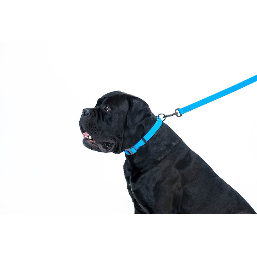 Повідець для собак водостійкий WAUDOG Waterproof, S, Ш 15 мм, Дов 122 см блакитний Коломыя - изображение 4