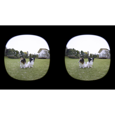 Объектив Canon RF 3.9mm f/3.5 Dual Fisheye (6578C005) Винница - изображение 9