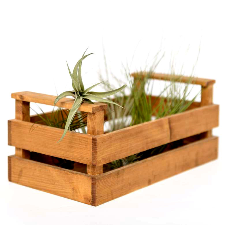 Кашпо "Ясенець" мускат Миколаїв - фото 1