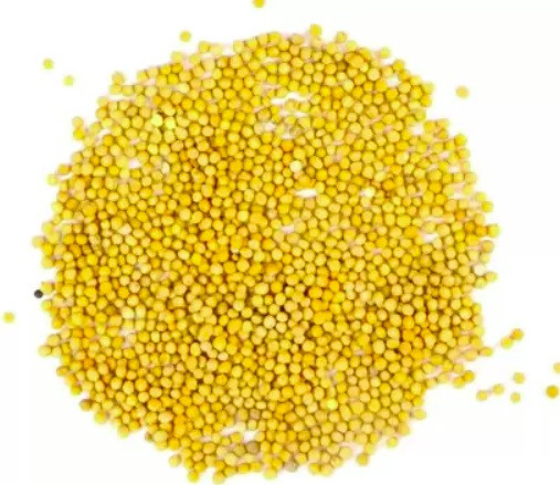 Горчица (зёрна), 500г. MasterSEM Киев - изображение 1