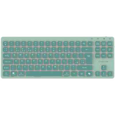 Клавіатура Canyon OnType 10 TKL Mechanical Silent Low-profile USB UA Green (CNS-HKB10GR) Вінниця