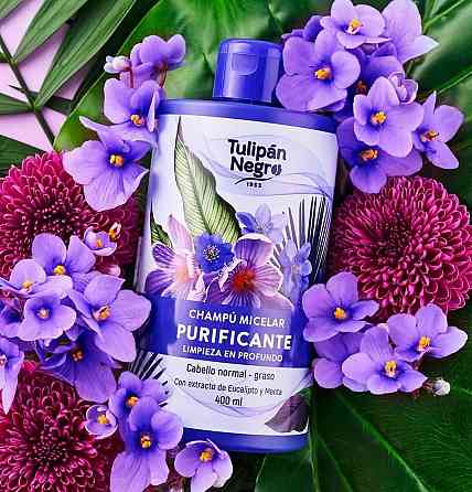 Мицеллярный шампунь Tulipan Negro 400 мл Винница