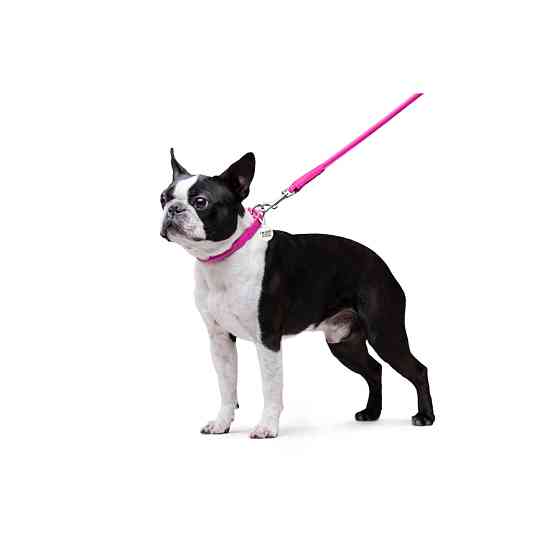 Повідець для собак шкіряний WAUDOG Glamour круглий, Д 8 мм, Дов 122 см рожевий Коломия