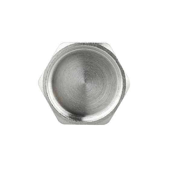 Заглушка Thermo Alliance Forte 1