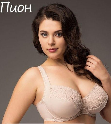 БЮСТГАЛЬТЕР 1199 Киев - изображение 2