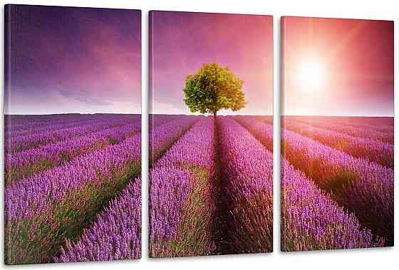 Модульная картина Природа Лаванда Art-48_3А 70x130 см Киев