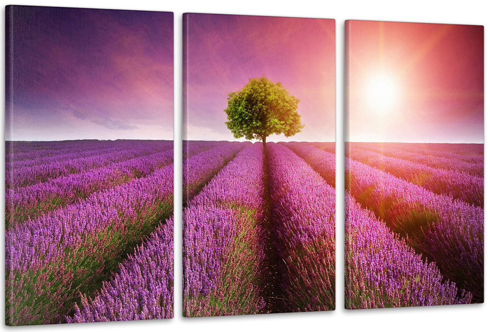 Модульная картина Природа Лаванда Art-48_3А 70x130 см Киев - изображение 1