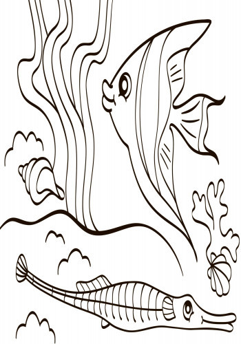 Детская водная раскраска : Море 734010, 8 страниц Винница - изображение 8