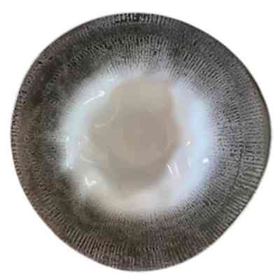 Тарелка G.Benedikt серія "Flamenco" Shell Grey для пасти 27 см (FLA1927-T0015) Винница